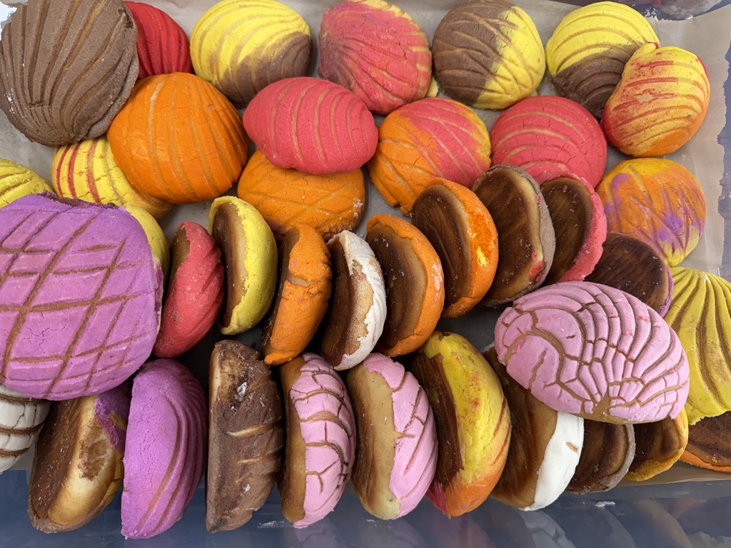conchas