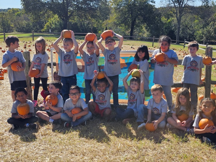 kinder pumpkin patch