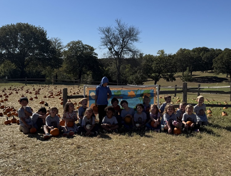 kinder pumpkin patch