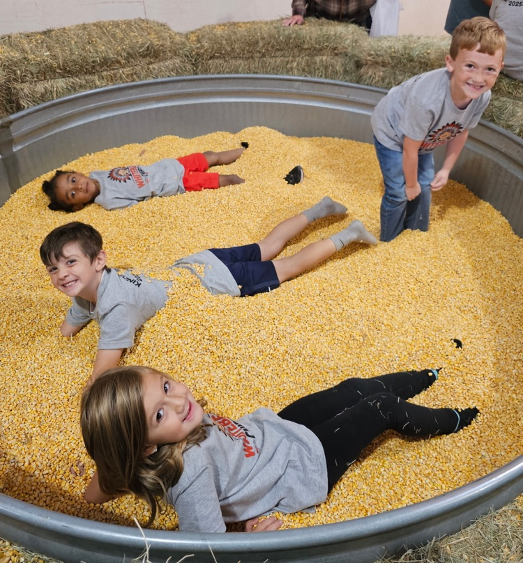 kinder pumpkin patch