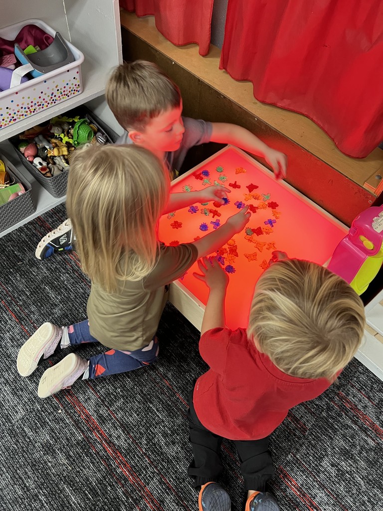 light up your learning