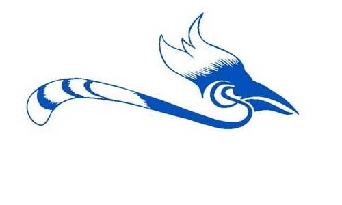 Blue Jay