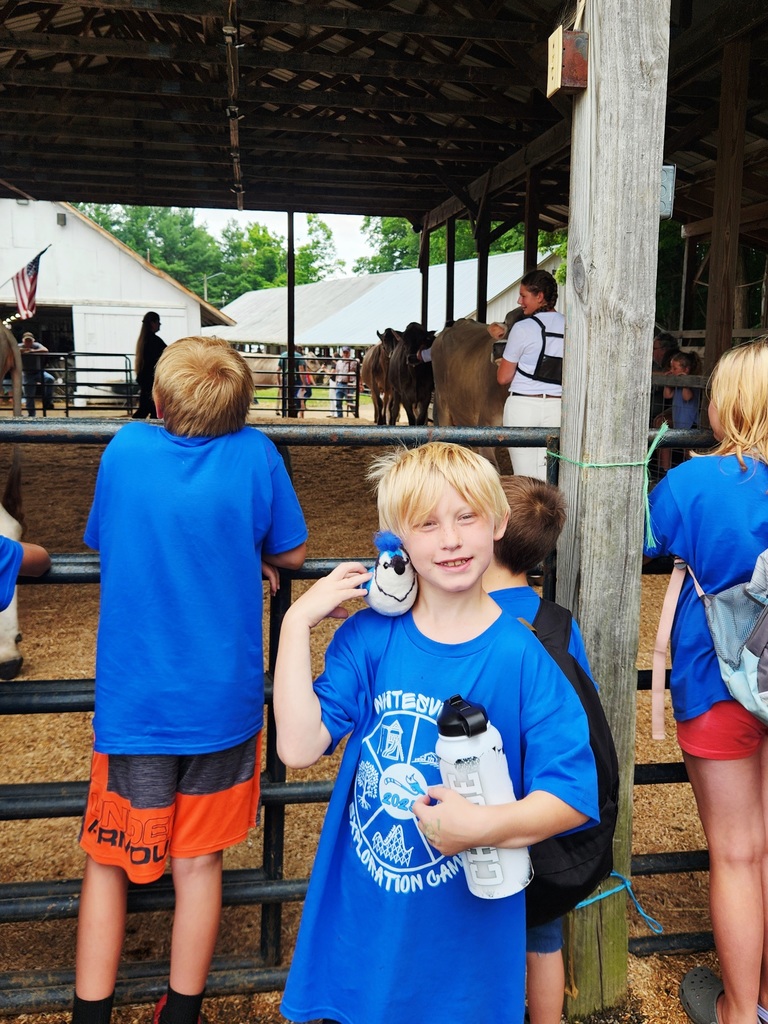 Fair Fun!