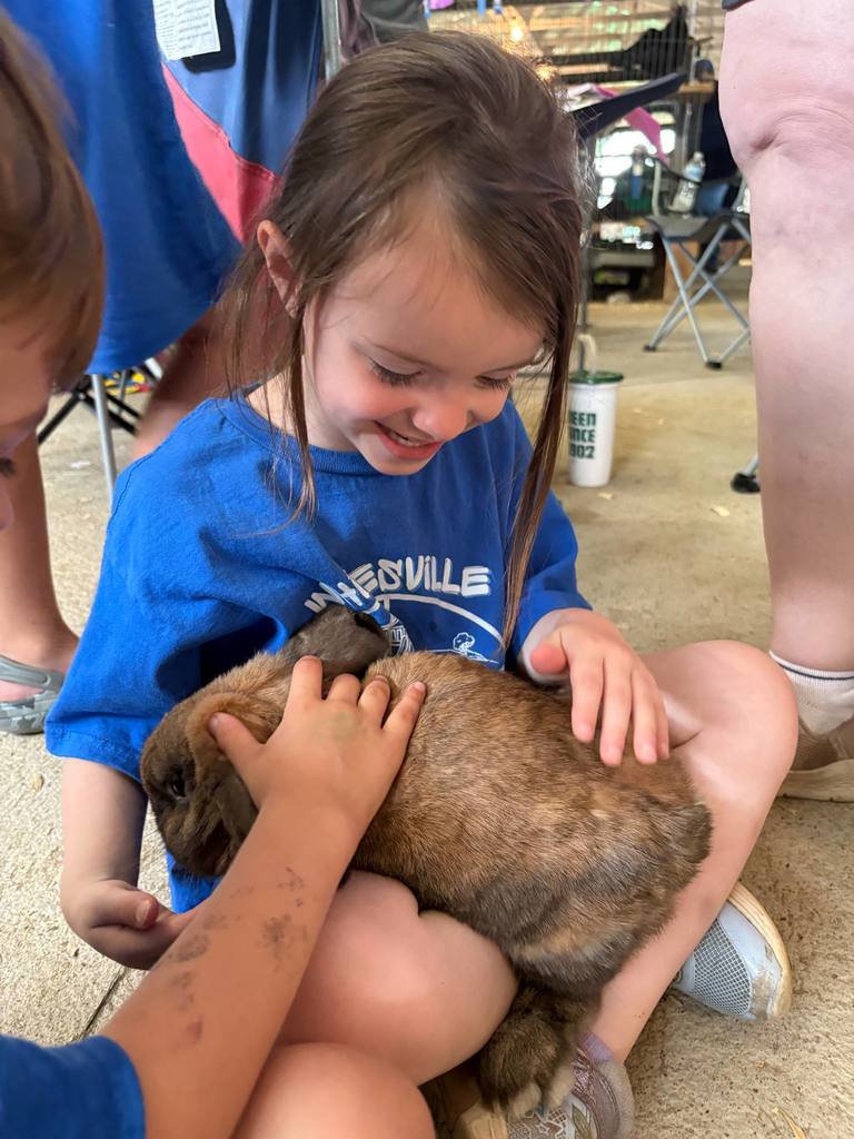 Fair Fun!