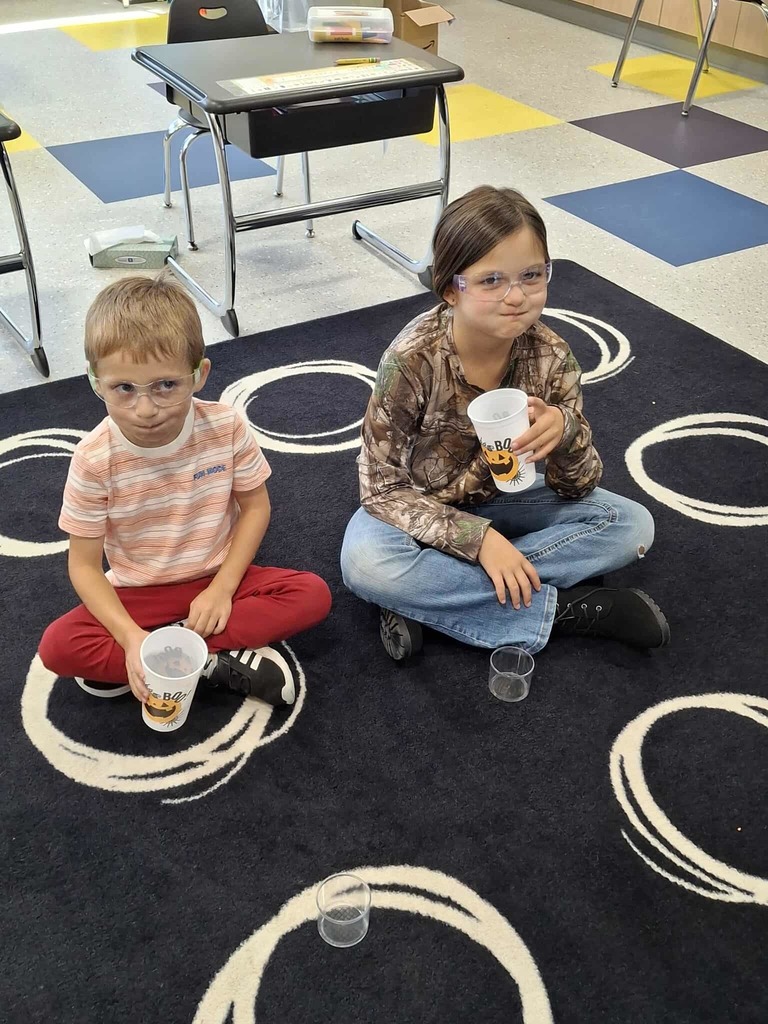 WCS Enrichment 2025