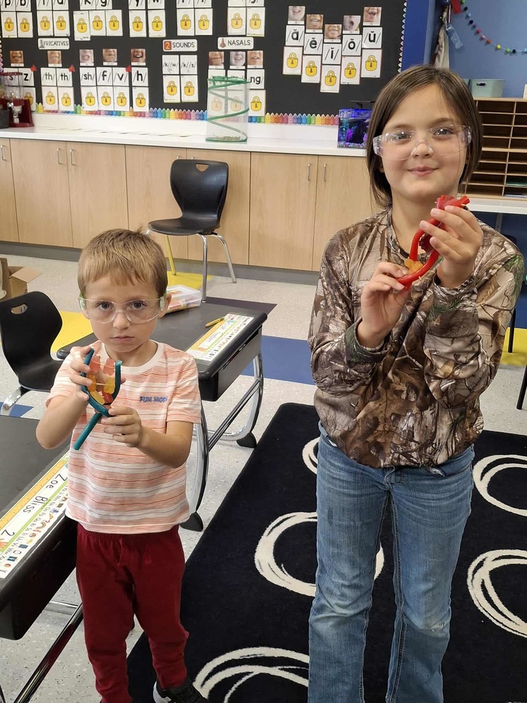 WCS Enrichment 2025