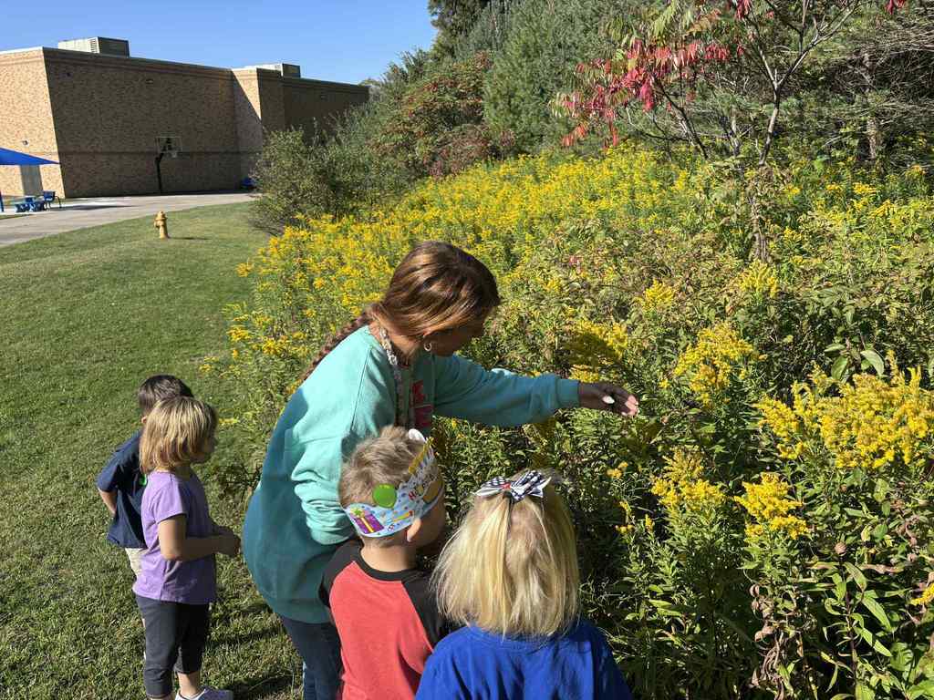 WCS Butterfly Release 2025