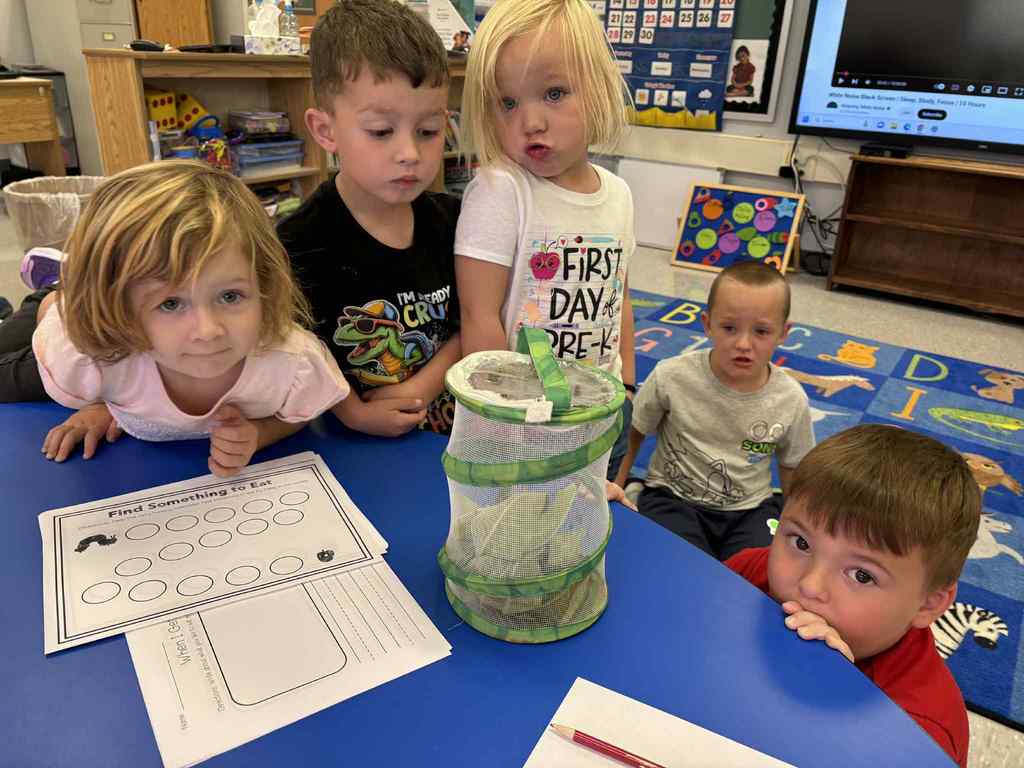 WCS Prek 2025