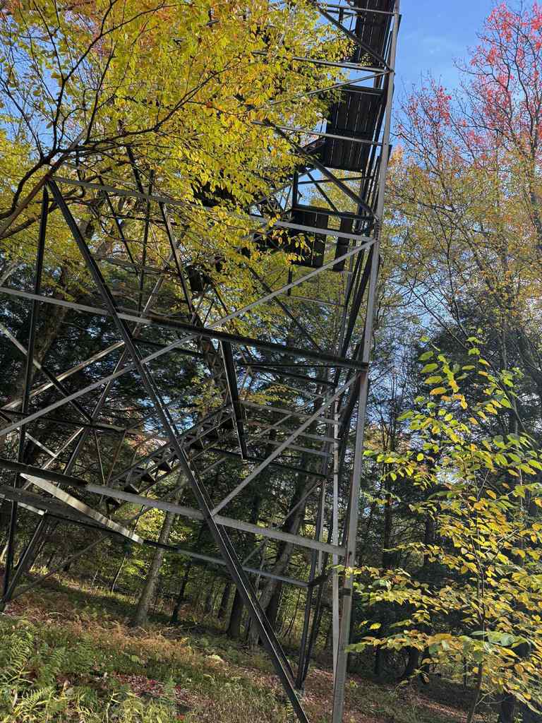 WCS 5th and 6th Ridgewalk 2025