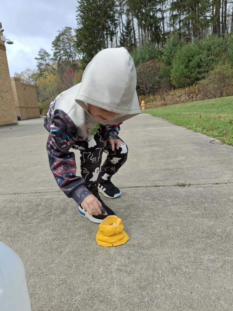 WCS Enrichment Class 2025