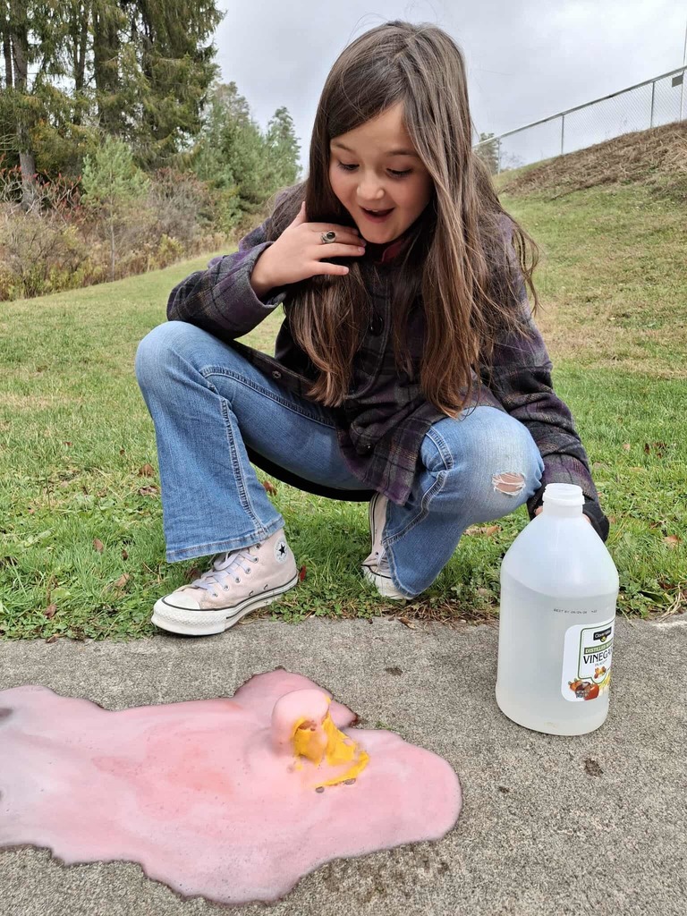 WCS Enrichment Class 2025