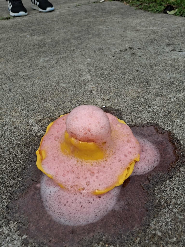 WCS Enrichment Class 2025