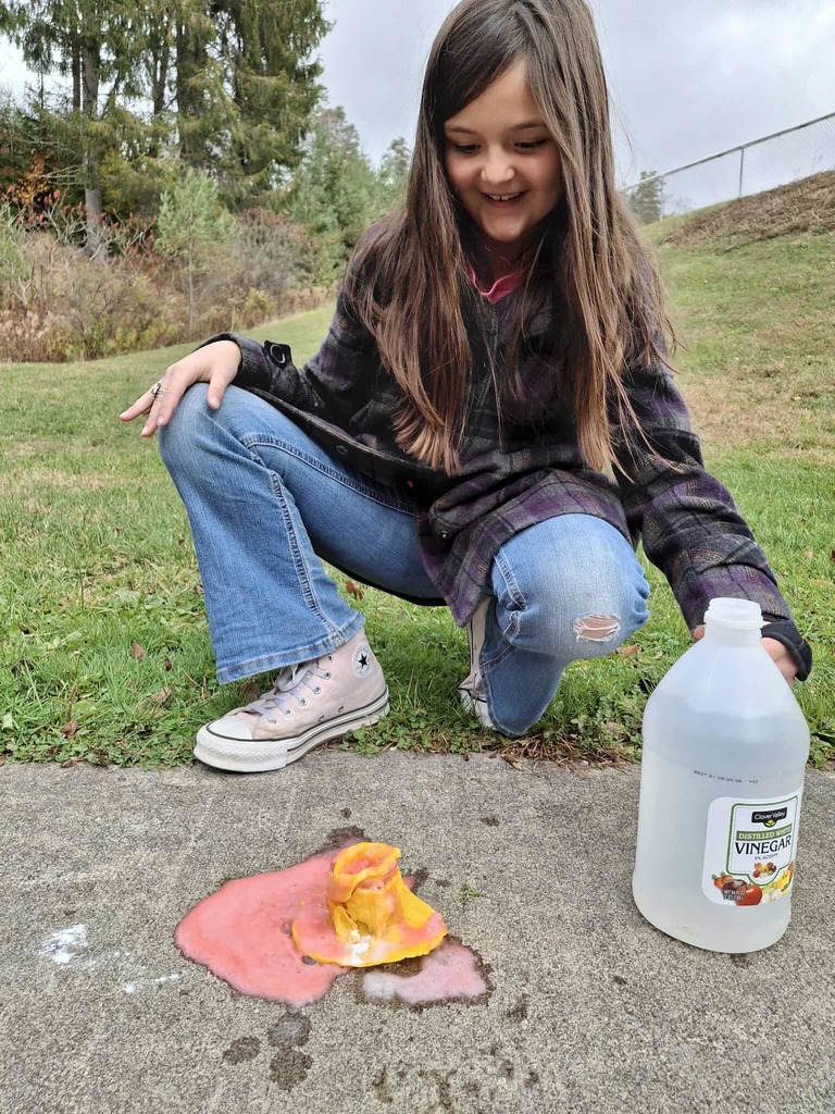 WCS Enrichment Class 2025