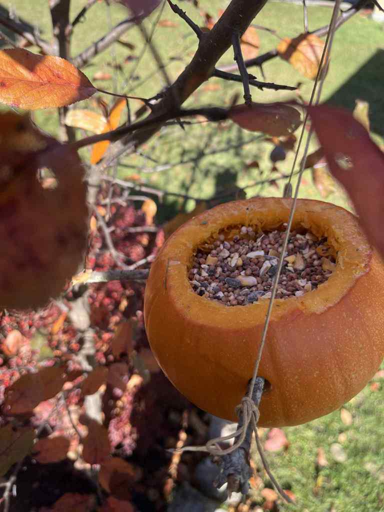 WCS Outdoor Education 2025