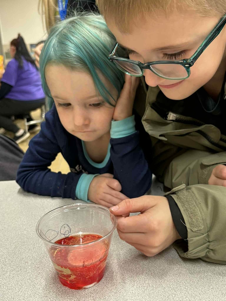 WCS Parents as Partners 2025