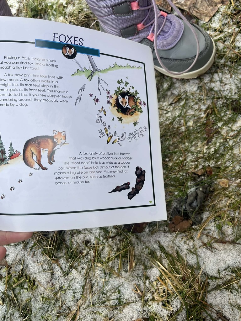 Whitesville Central School Outdoor Education 2026