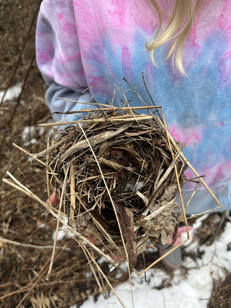 Whitesville Central School Outdoor Education 2026