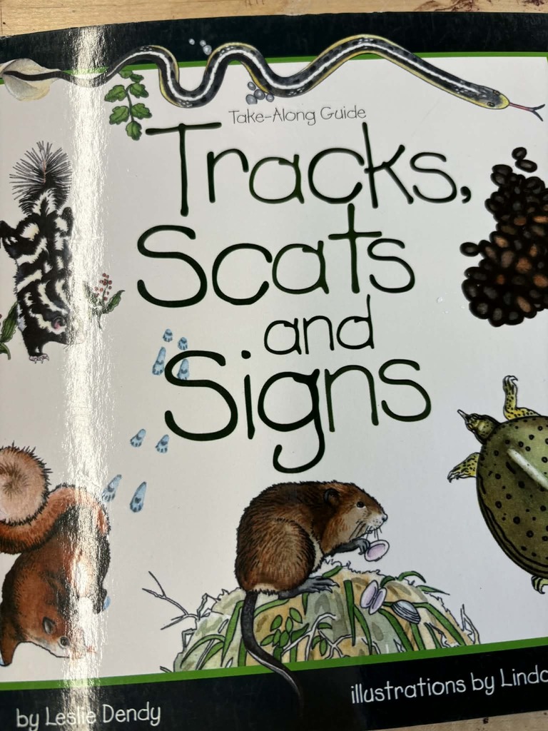 Whitesville Central School Outdoor Education 2026