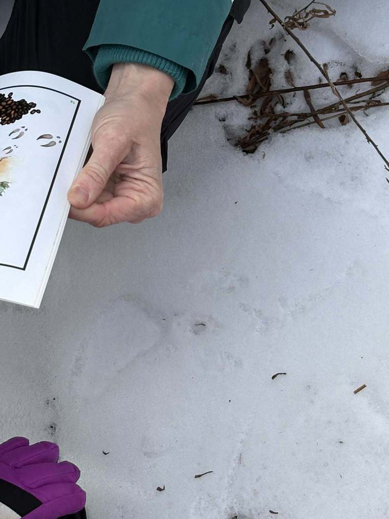 Whitesville Central School Outdoor Education 2026