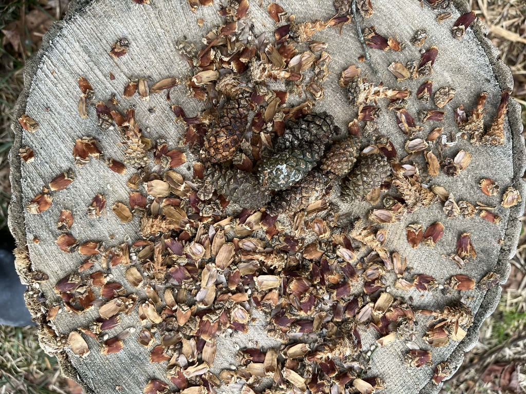 Whitesville Central School Outdoor Education 2026