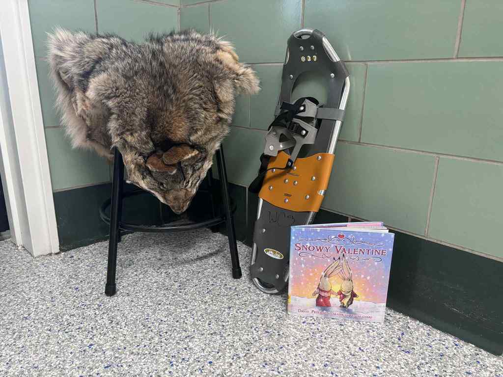 WCS Outdoor Education