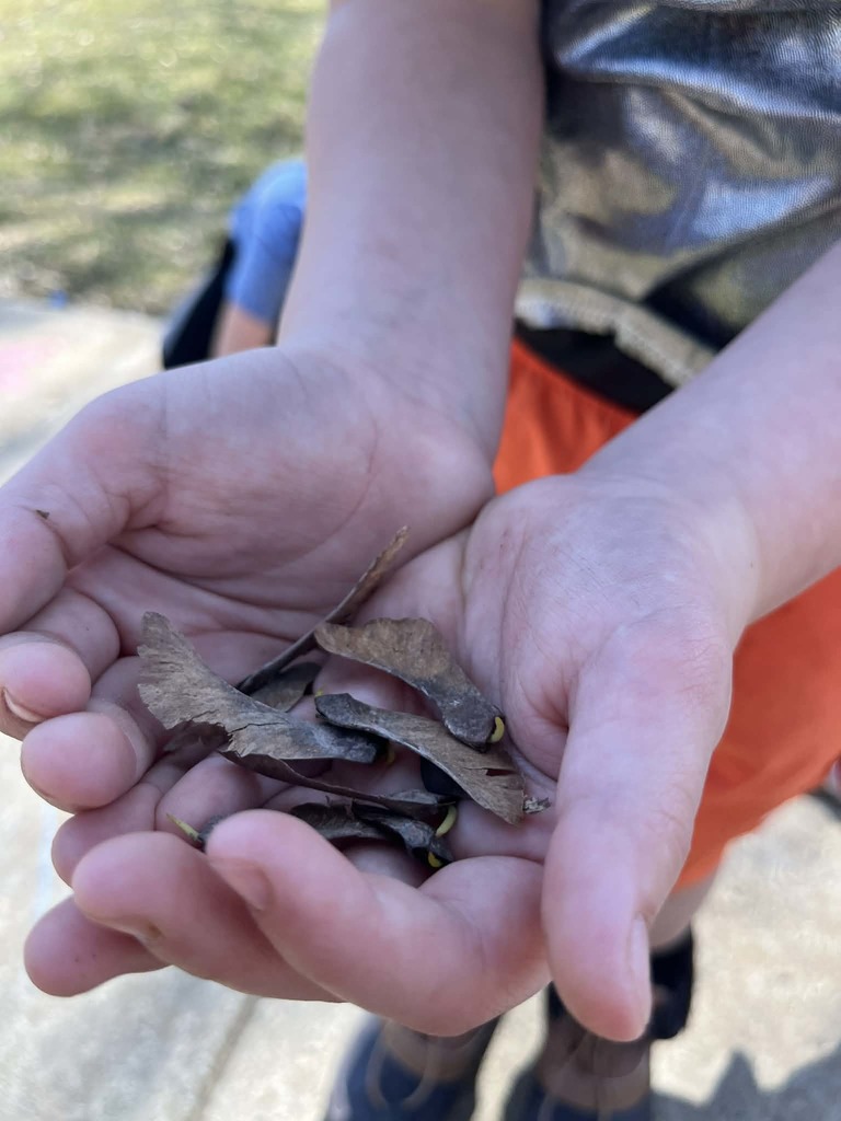 WCS Outdoor Education 2026