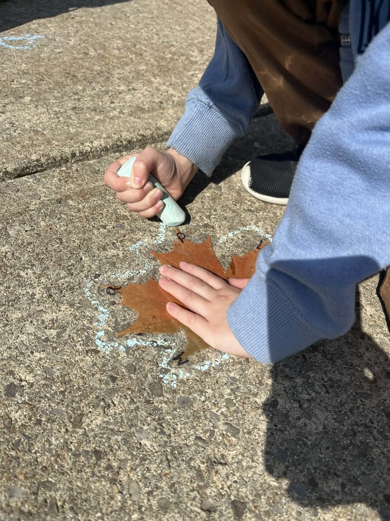 WCS Outdoor Education 2026