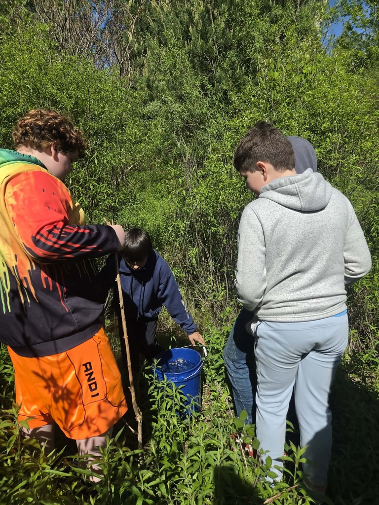 WCS Outdoor Education 2026