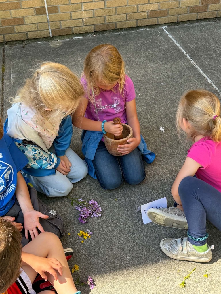 WCS Outdoor Education 2026