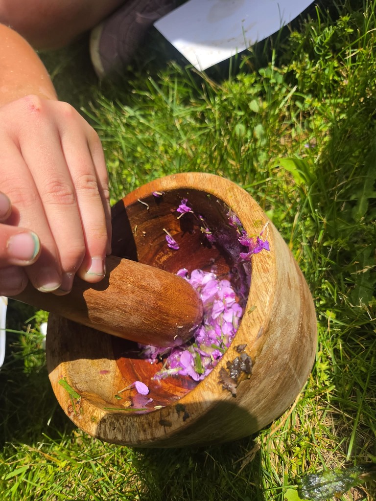 WCS Outdoor Education 2026