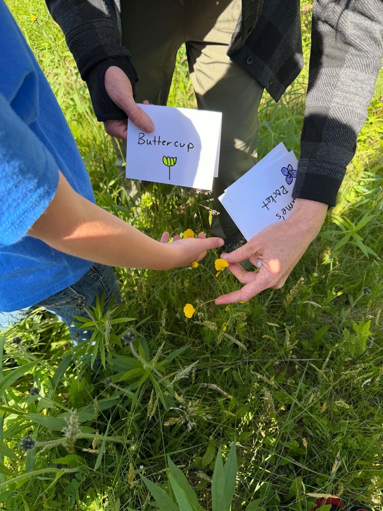 WCS Outdoor Education 2026