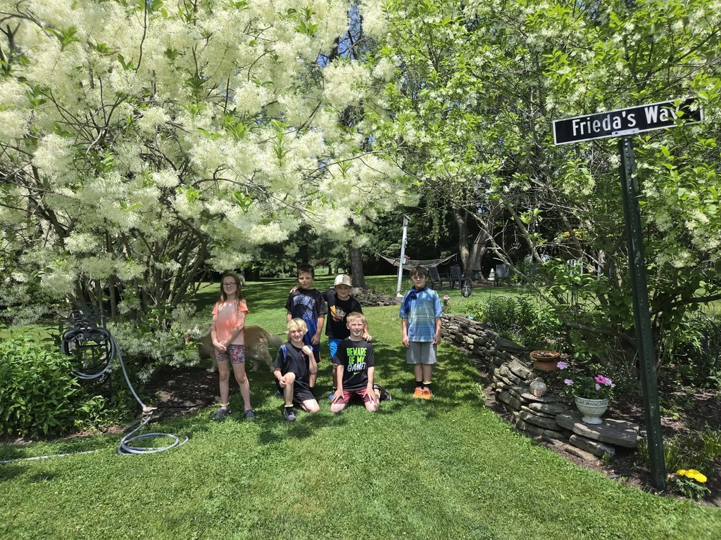 WCS Outdoor Education 2026