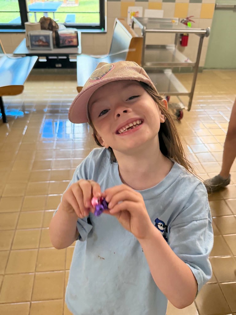 WCS Summer Program 2026