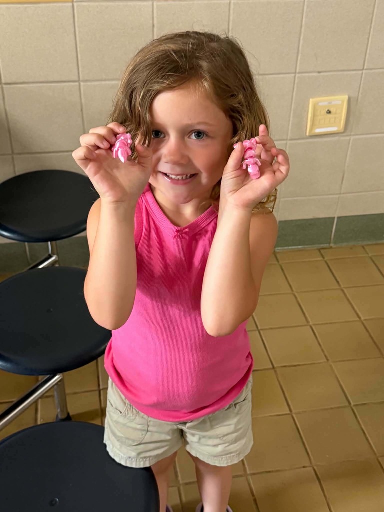 WCS Summer Program 2026