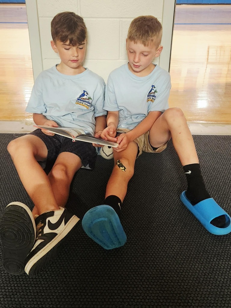 WCS Summer Program 2026