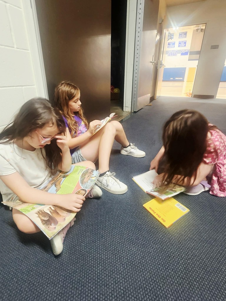 WCS Summer Program 2026