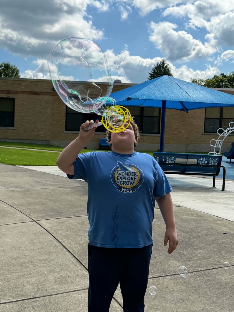 WCS Summer Program 2026
