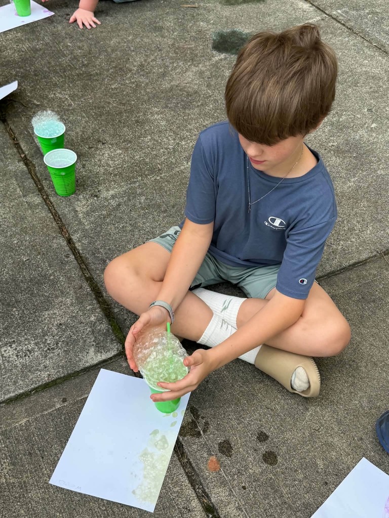 WCS Summer Program 2026