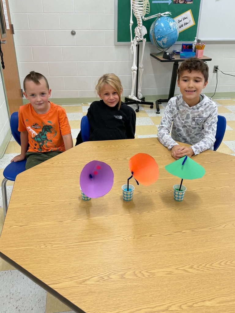 Whitesville Central School 1st Grade Science 2026