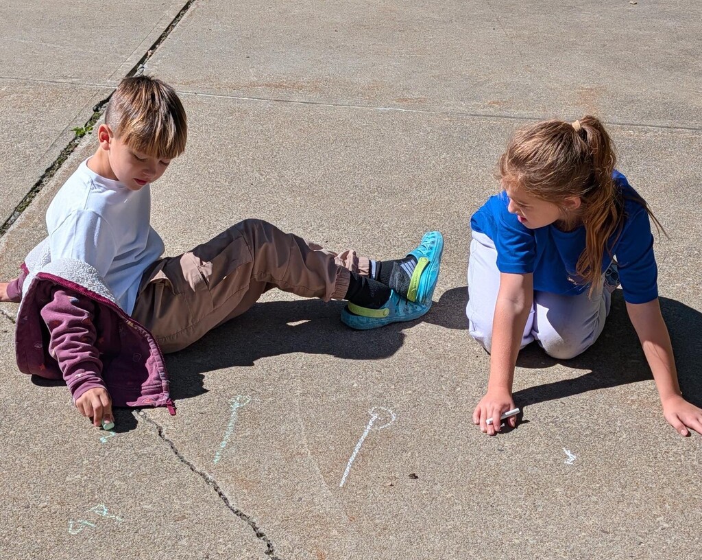 Whitesville Central School Music Class 2026