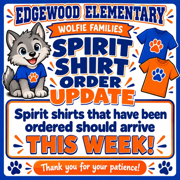spirit shirt