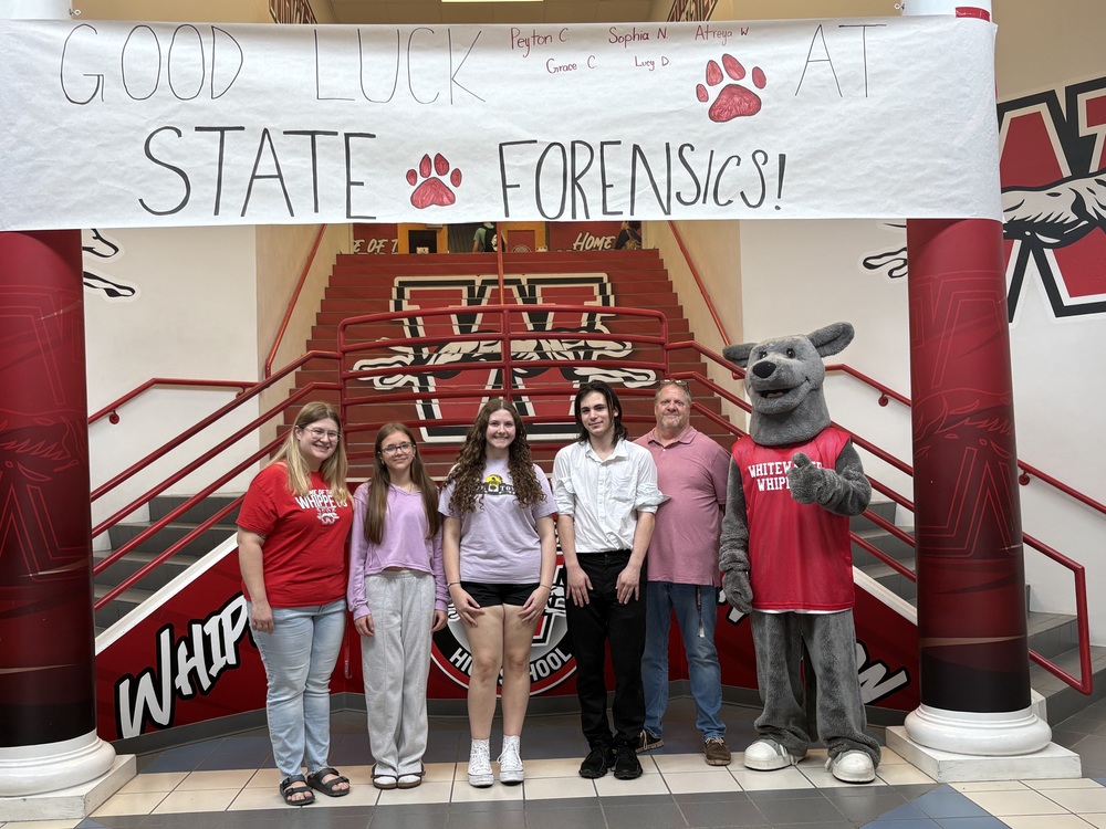 Whippet Walks for State