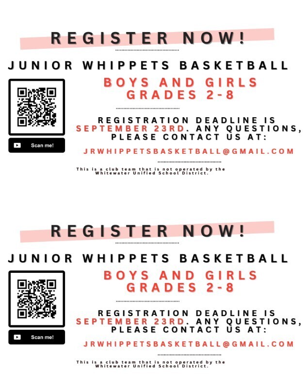 jr whippet bb flyer