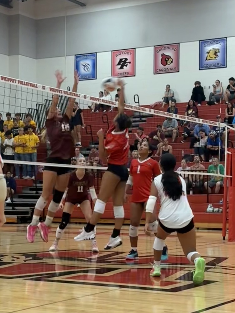 Volleyball