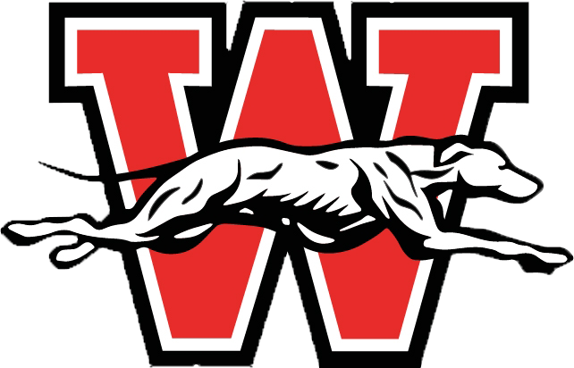 Whippets