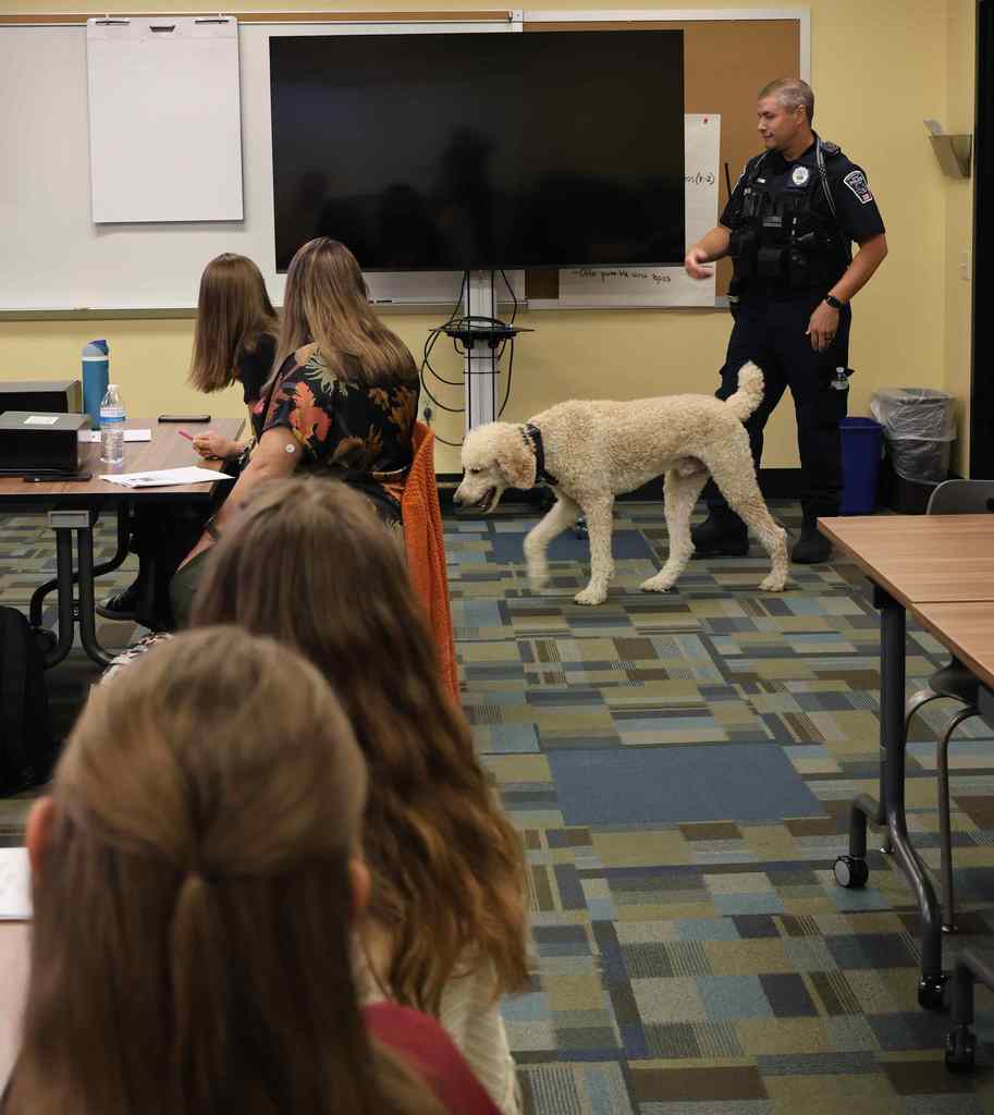 New Teacher Orientation
