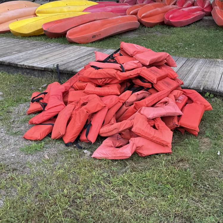 Survivor Day 2025