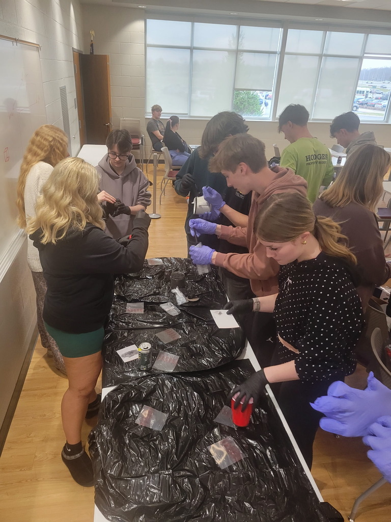 criminal justice students studying fingerprints