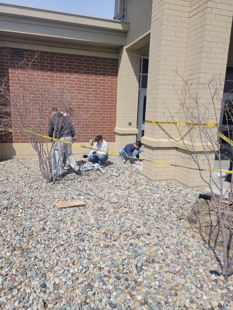 Criminal Justice crime scenes