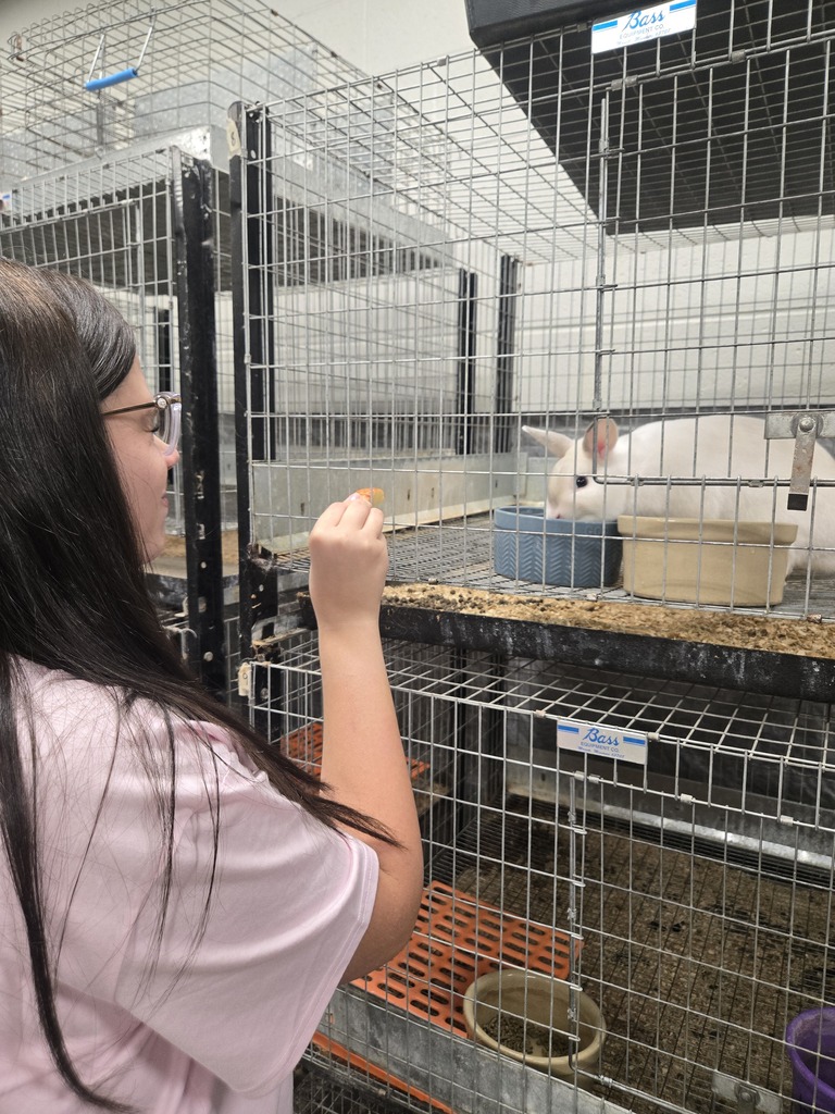Student feeds bunn